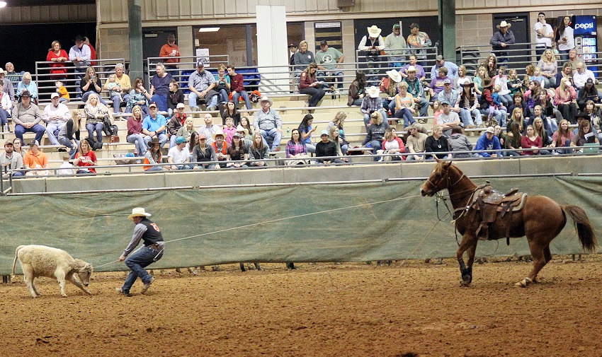 An athlete competes in tie-down roping during East Mississippi Community College’s rodeo last year at the Lauderdale County Agri-Center. The event returns this year Feb. 22-24.