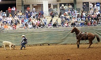 About 250 cowgirls and cowboys will saddle up for three nights of adrenaline-fueled bronc-riding, bull-busting rodeo action at the Lauderdale County Agri-Center. Gates open at 7 p.m. nightly Feb. 22-24 during the National Intercollegiate Rodeo Association (NIRA) sanctioned event hosted by East Mississippi Community College and sponsored by HMR Veterans Services, Inc.

