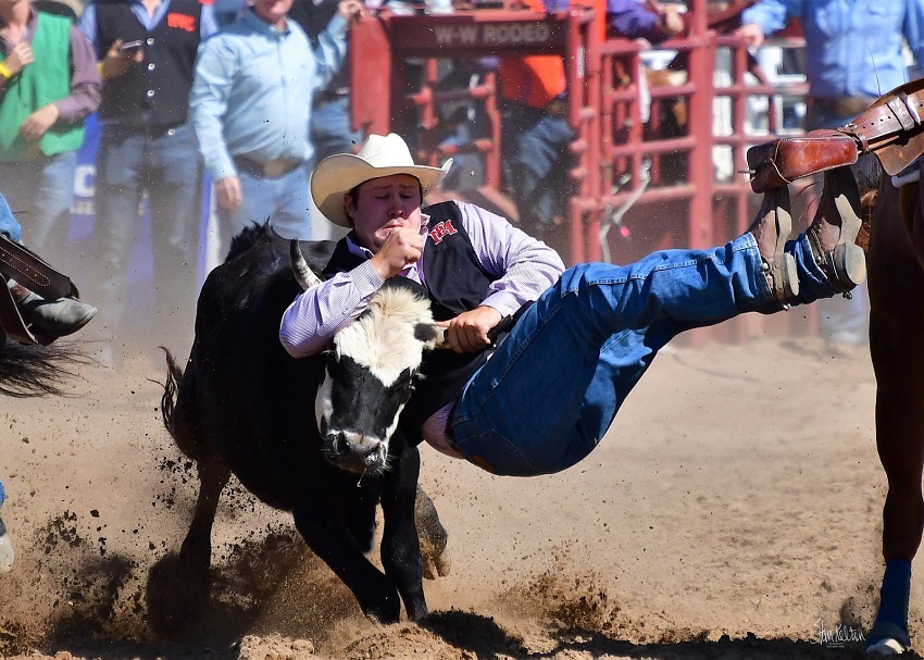 East Mississippi Community College men’s Rodeo Team member Myles Neighbors wrestles a steer during a National Intercollegiate Rodeo Association Ozark Region competition.
